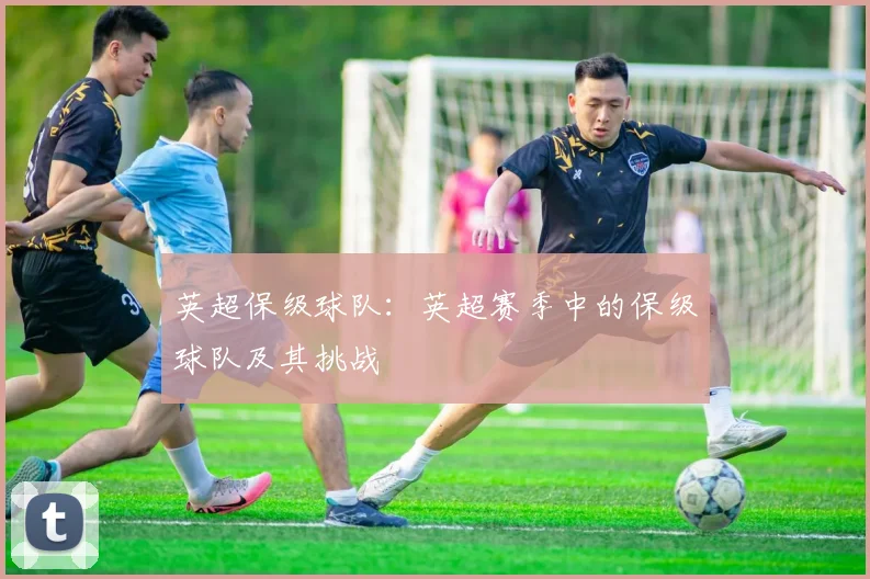 英超保级球队:英超赛季中的保级球队及其挑战