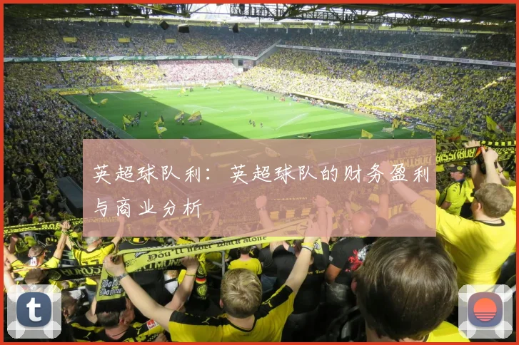 英超球队利：英超球队的财务盈利与商业分析