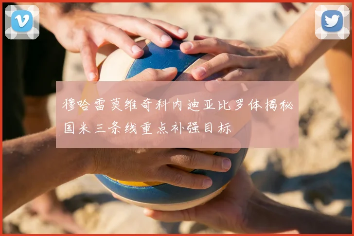 穆哈雷莫维奇科内迪亚比罗体揭秘国米三条线重点补强目标