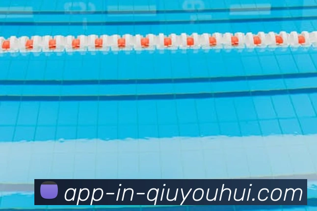 App Interface Preview